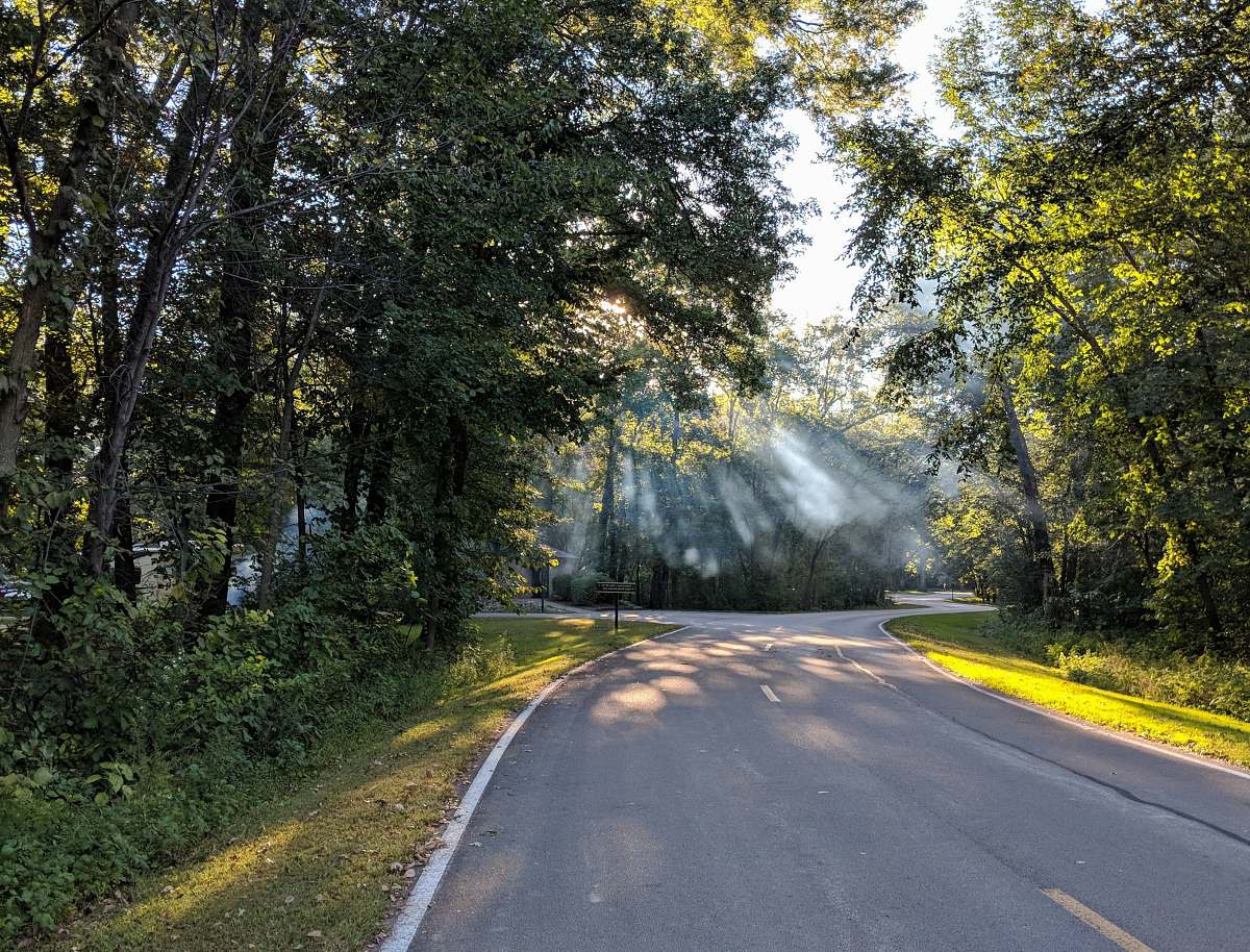 gravel green trees near road during daytime road